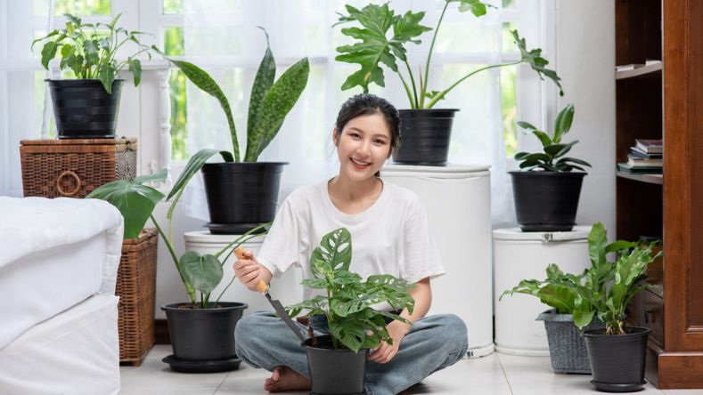 Top 10 Tips For Living An Eco-Friendly Lifestyle