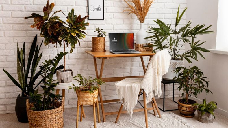 Choose Eco-Friendly Home Office Furniture