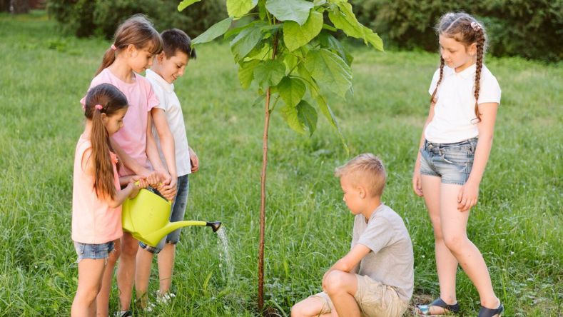 Eco-Friendly Habits For Families For A Better Lifestyle