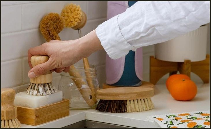 Biodegradable Dish Brushes